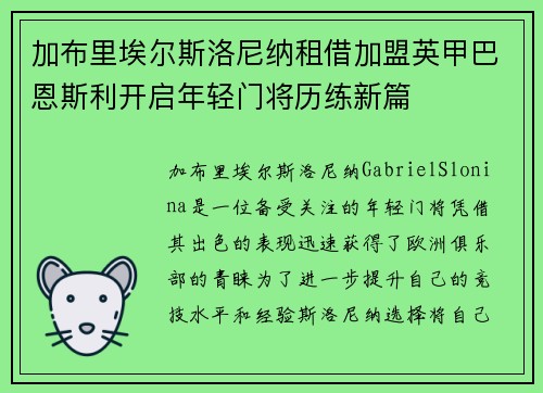 加布里埃尔斯洛尼纳租借加盟英甲巴恩斯利开启年轻门将历练新篇