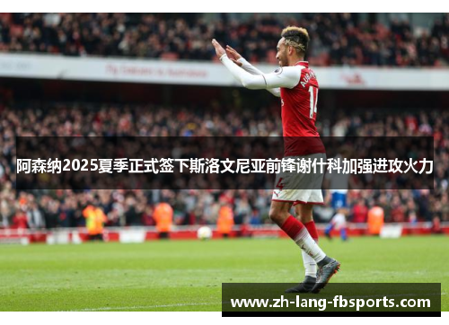 阿森纳2025夏季正式签下斯洛文尼亚前锋谢什科加强进攻火力 阿森纳2025夏季正式签下斯洛文尼亚前锋谢什科加强进攻火力