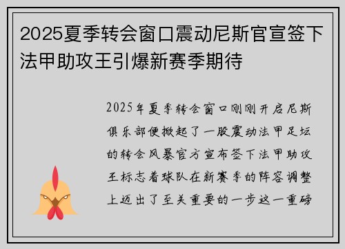 2025夏季转会窗口震动尼斯官宣签下法甲助攻王引爆新赛季期待