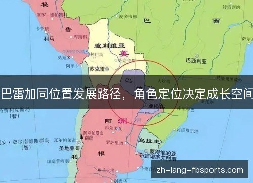 巴雷加同位置发展路径，角色定位决定成长空间